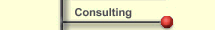 Consulting