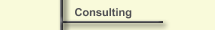 Consulting