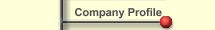 Company Profile
